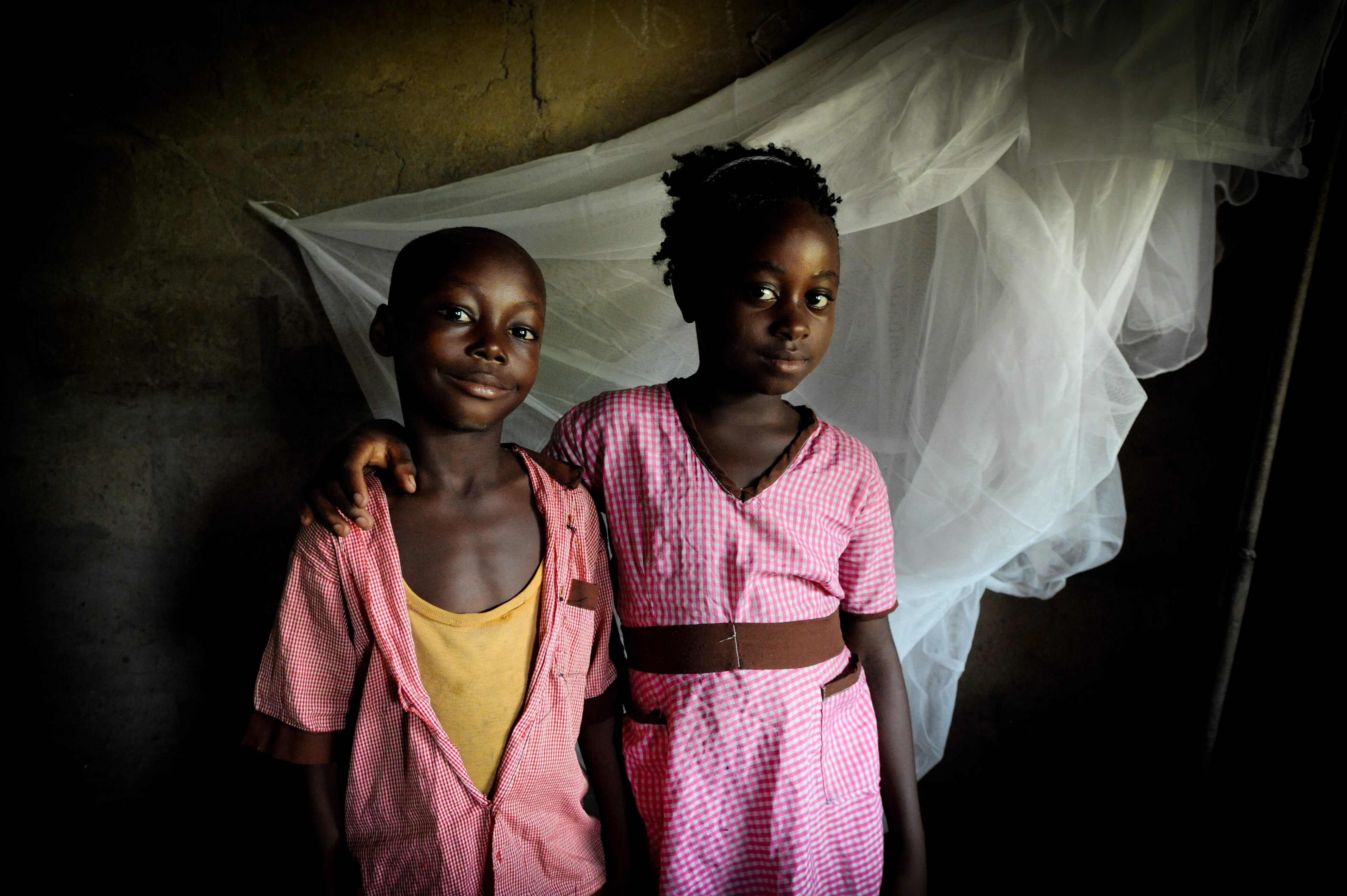 Solution Pledge Image