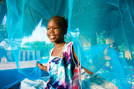 Blog Post Hero Image