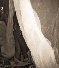 Blog Post Hero Image