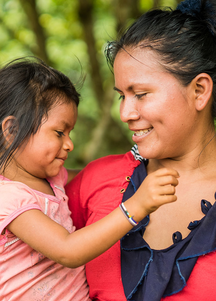 What is malaria? Image